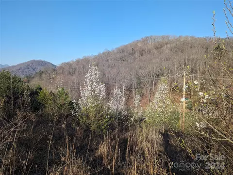 00 Hyder Mountain Rd, Clyde, NC 28721 photo 2