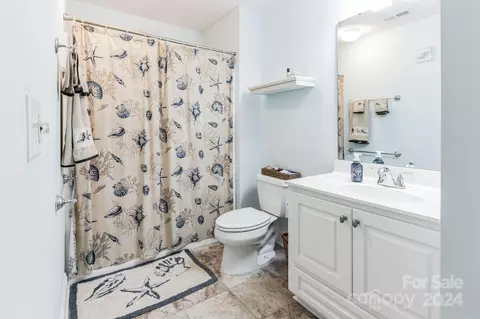 Bath - 207 Cirrus Ln, Gilbert, SC 29054 photo 5 of 6