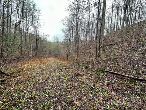 320 Board Tree Rd, Marshall, NC 28753 photo 4