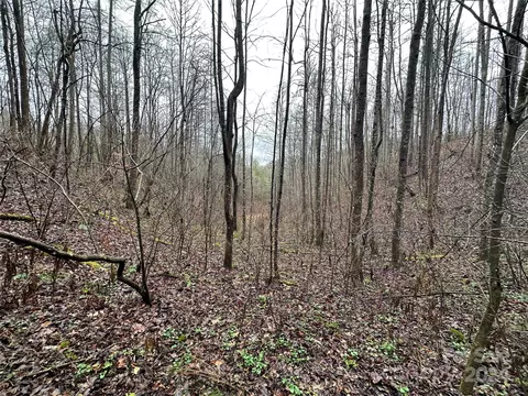 320 Board Tree Rd, Marshall, NC 28753 photo 5