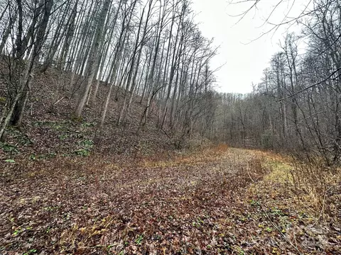 320 Board Tree Rd, Marshall, NC 28753 photo 8