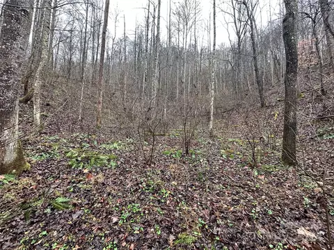 320 Board Tree Rd, Marshall, NC 28753 photo 10