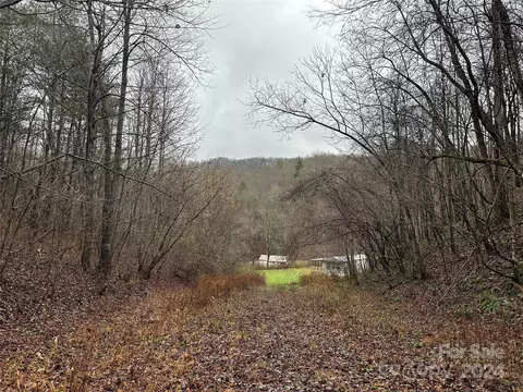 320 Board Tree Rd, Marshall, NC 28753 photo 3