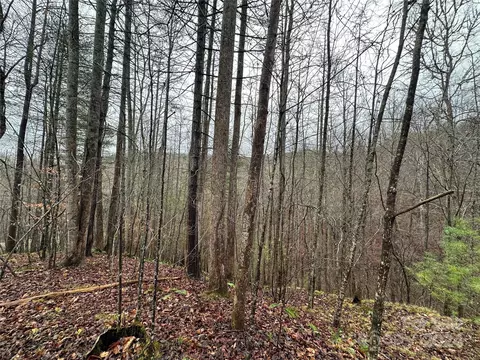 320 Board Tree Rd, Marshall, NC 28753 photo 6