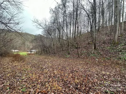 320 Board Tree Rd, Marshall, NC 28753 photo 7