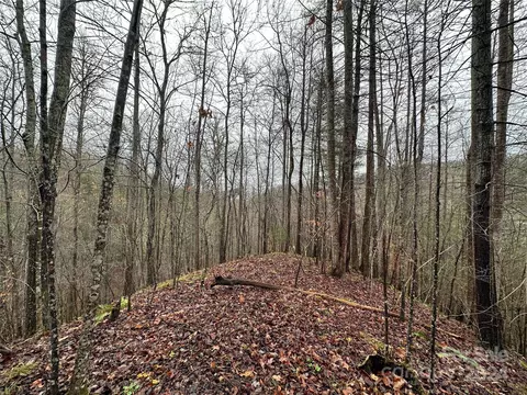 320 Board Tree Rd, Marshall, NC 28753 photo 9