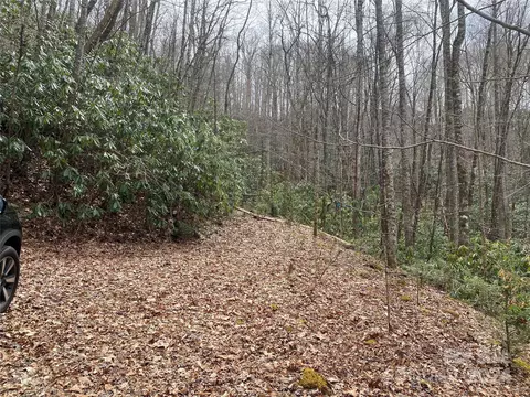 Lake Ridge Lane, Topton, NC 28781