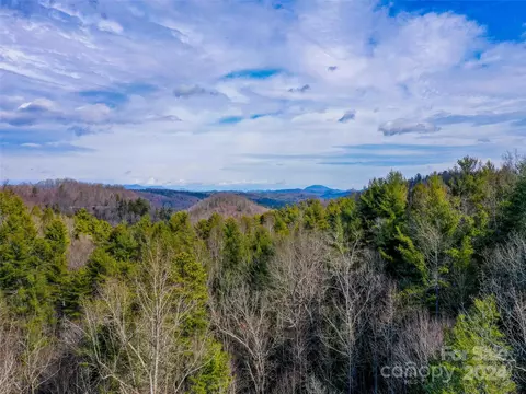 413 Never Blue Rd, Flat Rock, NC 28731 photo 2