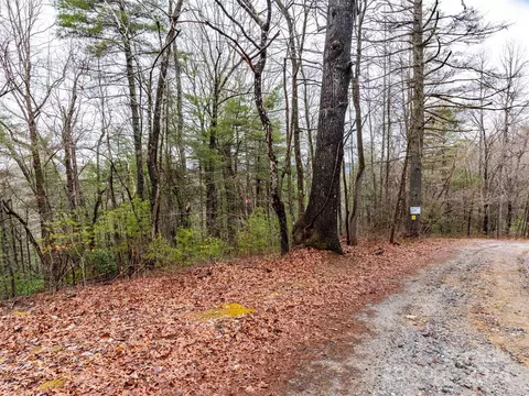 413 Never Blue Rd, Flat Rock, NC 28731 photo 11