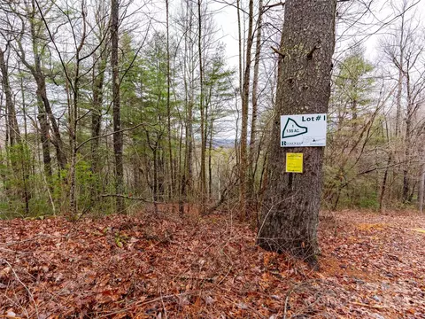 413 Never Blue Rd, Flat Rock, NC 28731 photo 12