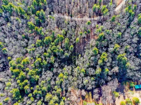413 Never Blue Rd, Flat Rock, NC 28731 photo 16