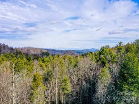 413 Never Blue Rd, Flat Rock, NC 28731 photo 5