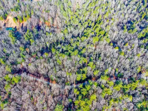 413 Never Blue Rd, Flat Rock, NC 28731 photo 18