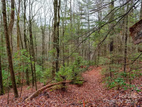 413 Never Blue Rd, Flat Rock, NC 28731 photo 4