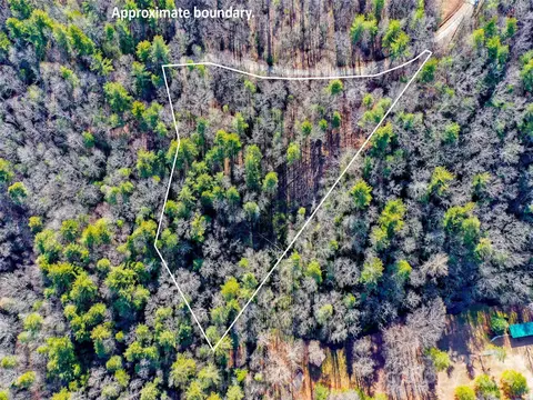 413 Never Blue Rd, Flat Rock, NC 28731 photo 15