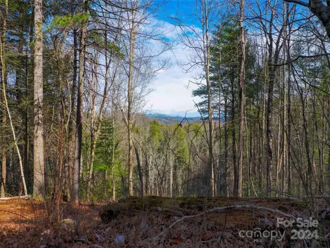 413 Never Blue Rd, Flat Rock, NC 28731 photo 20