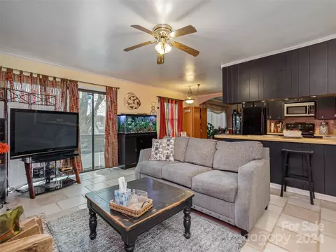 62 Broadview Cir, Brevard, NC 28712 photo 8