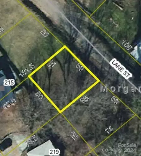 Lane 2 Street #2, Morganton, NC 28655