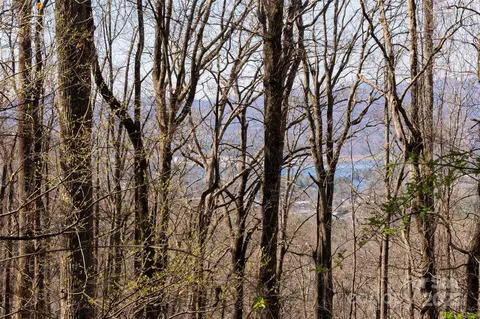 99999 Old Forest 1c Dr #1C, Asheville, NC 28803