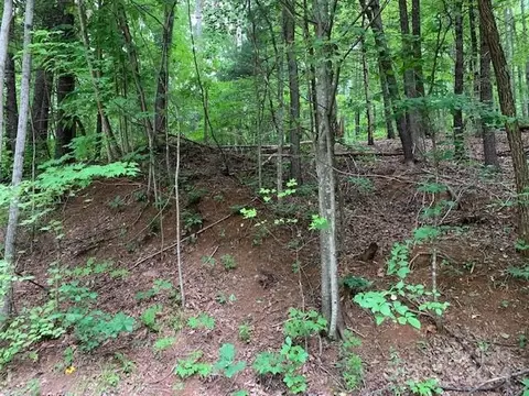 Mckenzie S Way, Old Fort, NC 28762