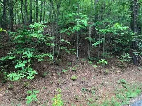 Mckenzie S Way, Old Fort, NC 28762