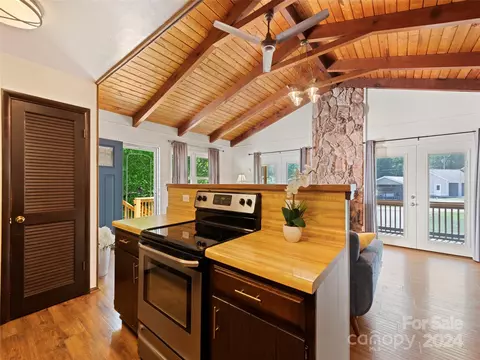 43 Sharp Mountain Rd, Canton, NC 28716 photo 14