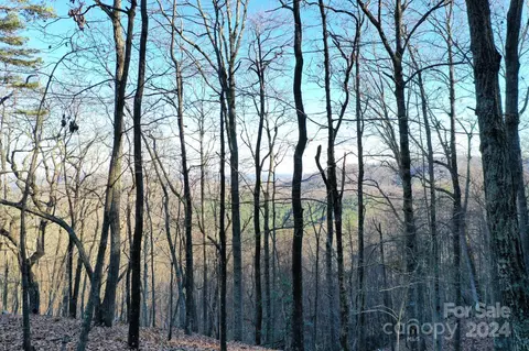 0 Fire Tower 17 Rd #17, Bostic, NC 28018