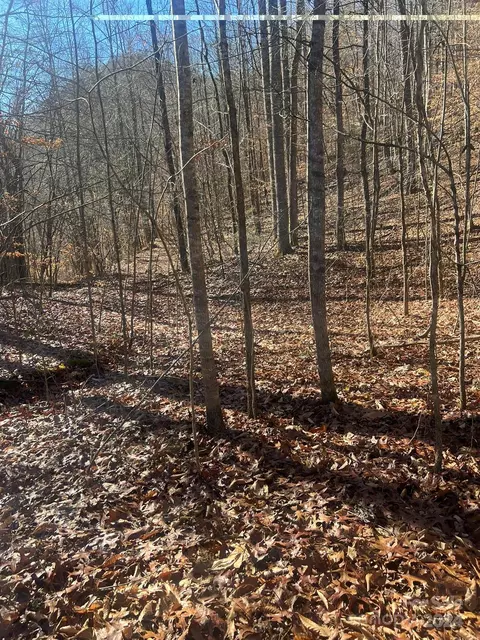 2 Topaz Ln, Tuckasegee, NC 28783