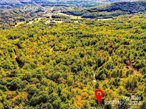 204 Wakefield Way, Mill Spring, NC 28756 photo 4
