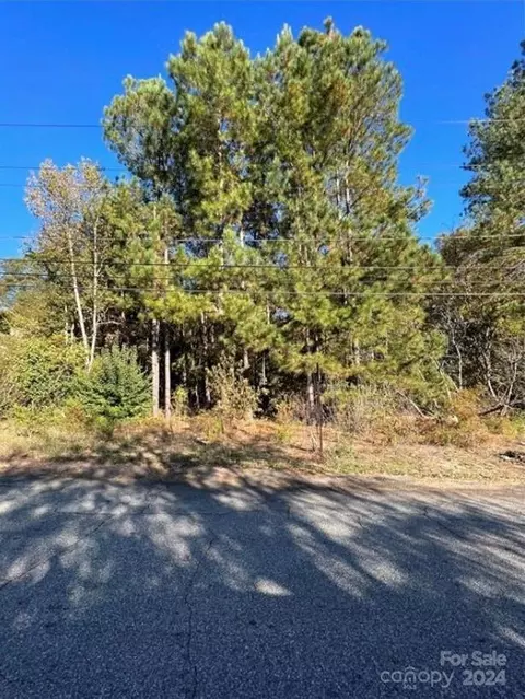 203 Pridmore St, Laurens, SC 29360