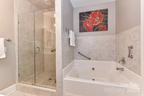 Bath - 175 Harper Lee St, Davidson, NC 28036 photo 3 of 5