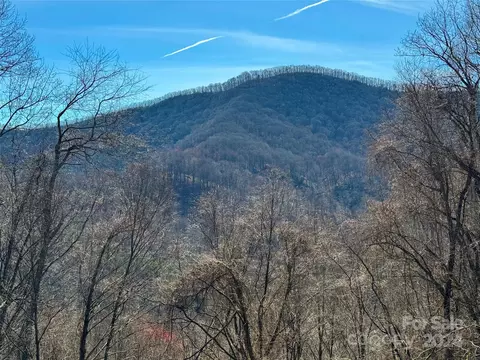 9999 Rock Ridge Rd, Leicester, NC 28716