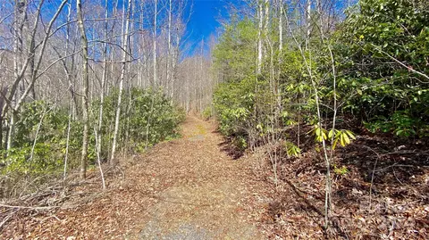 9999 Lake George 972973 Rd #972/973, Old Fort, NC 28762
