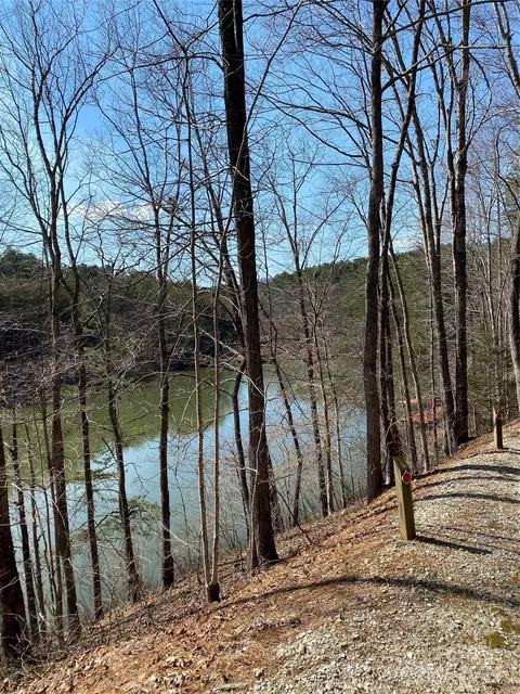 Double Eagle Drive, Nebo, NC 28761 photo 30