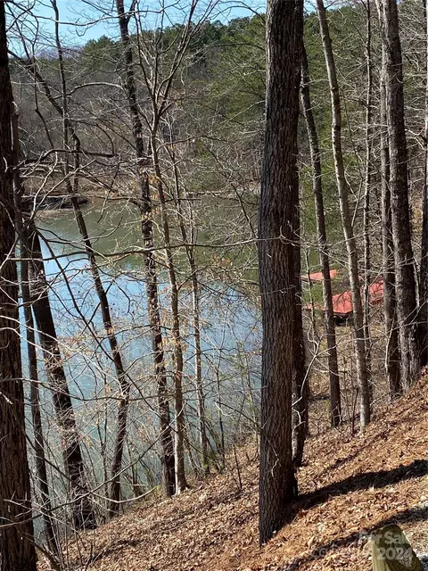 Double Eagle Drive, Nebo, NC 28761 photo 35