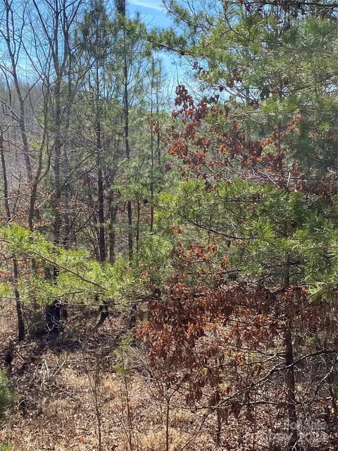 Double Eagle Drive, Nebo, NC 28761 photo 21