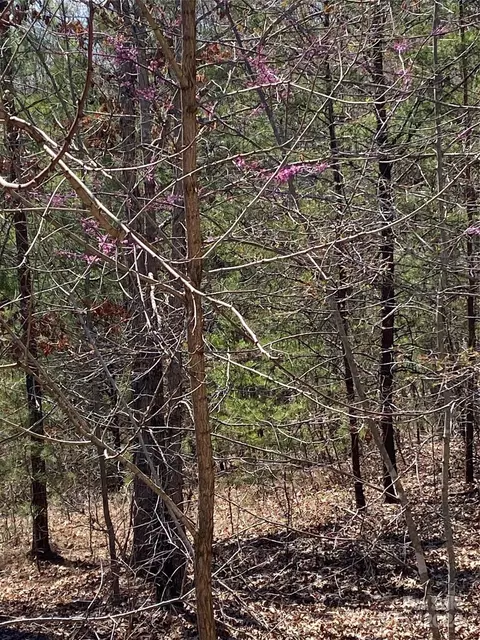 Double Eagle Drive, Nebo, NC 28761 photo 16