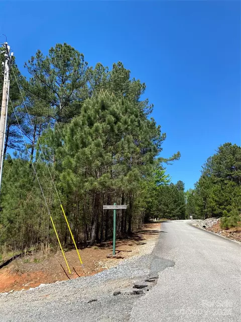 Double Eagle Drive, Nebo, NC 28761 photo 41