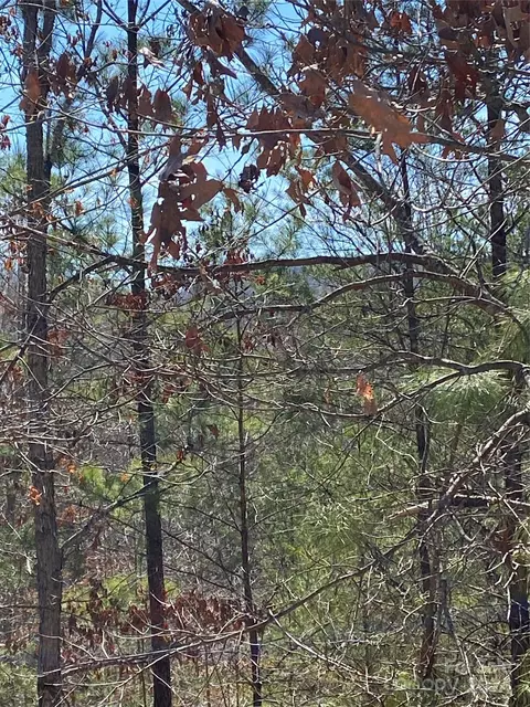 Double Eagle Drive, Nebo, NC 28761 photo 8