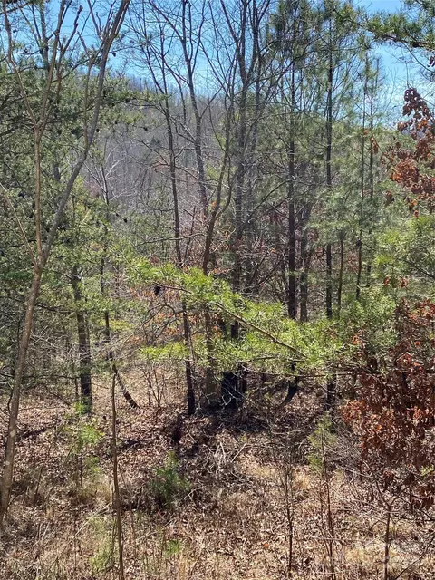 Double Eagle Drive, Nebo, NC 28761 photo 20
