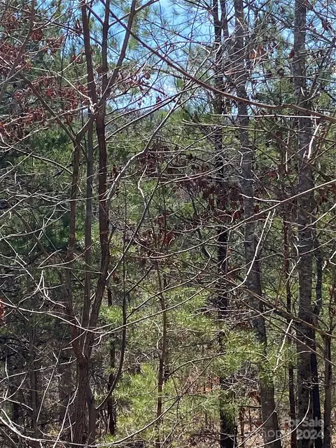 Double Eagle Drive, Nebo, NC 28761 photo 17