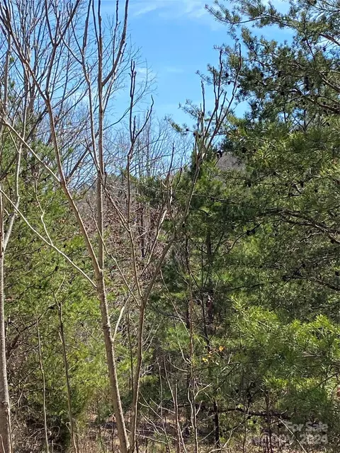 Double Eagle Drive, Nebo, NC 28761 photo 3