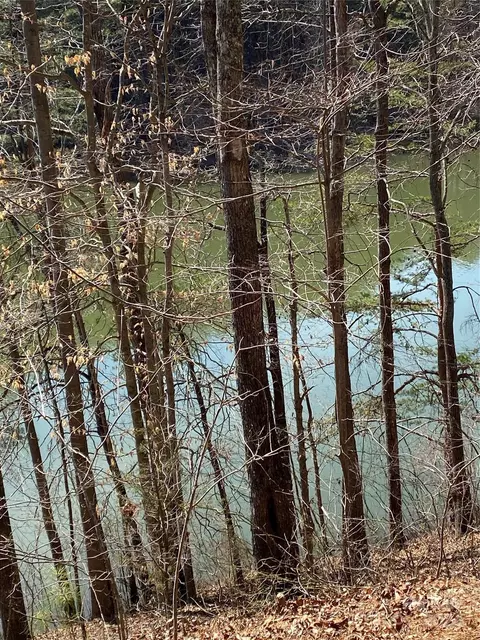 Double Eagle Drive, Nebo, NC 28761 photo 32