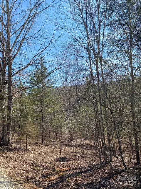 Double Eagle Drive, Nebo, NC 28761 photo 6
