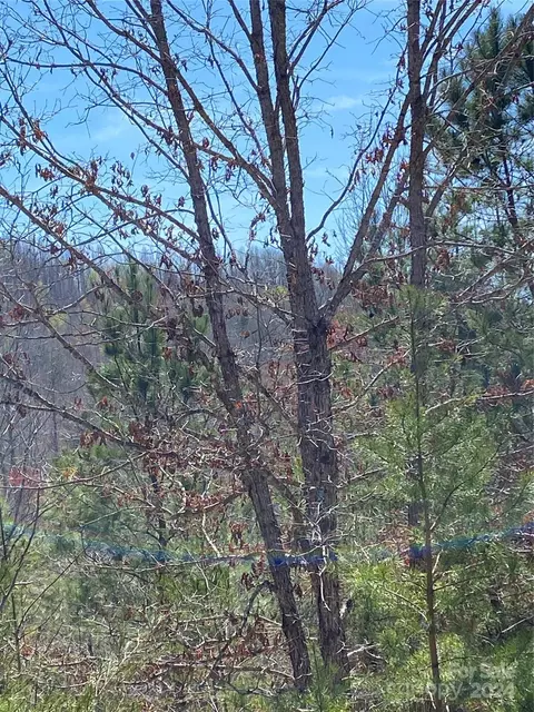 Double Eagle Drive, Nebo, NC 28761 photo 13
