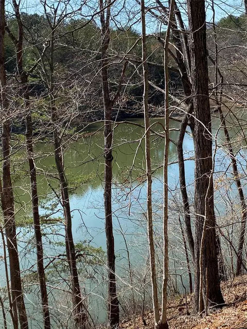 Double Eagle Drive, Nebo, NC 28761 photo 31