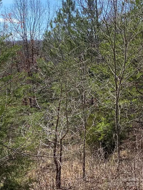 Double Eagle Drive, Nebo, NC 28761 photo 10