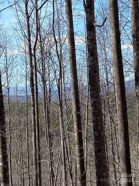 Double Eagle Drive, Nebo, NC 28761 photo 29