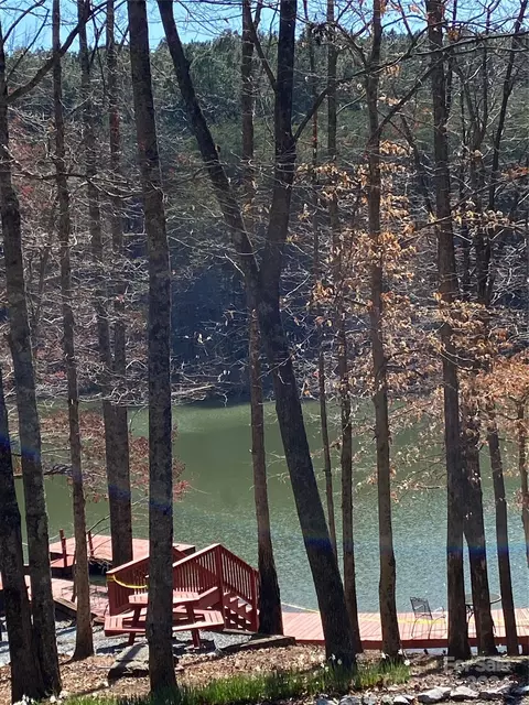 Double Eagle Drive, Nebo, NC 28761 photo 39