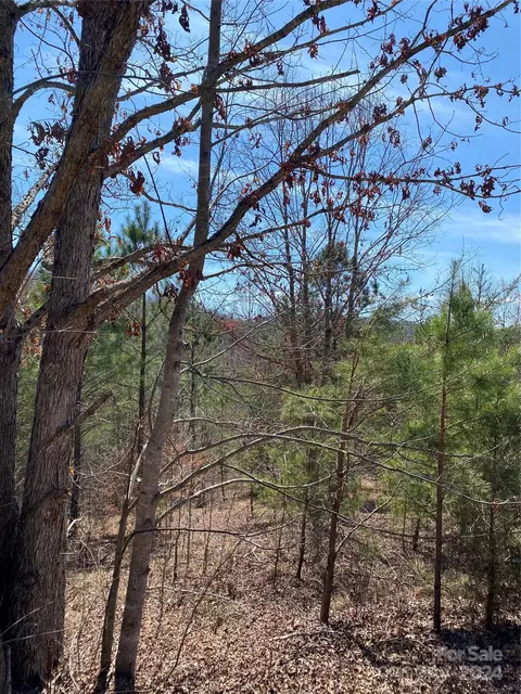 Double Eagle Drive, Nebo, NC 28761 photo 9